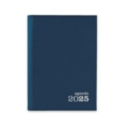 Agenda 2025 Diária Ambar 
